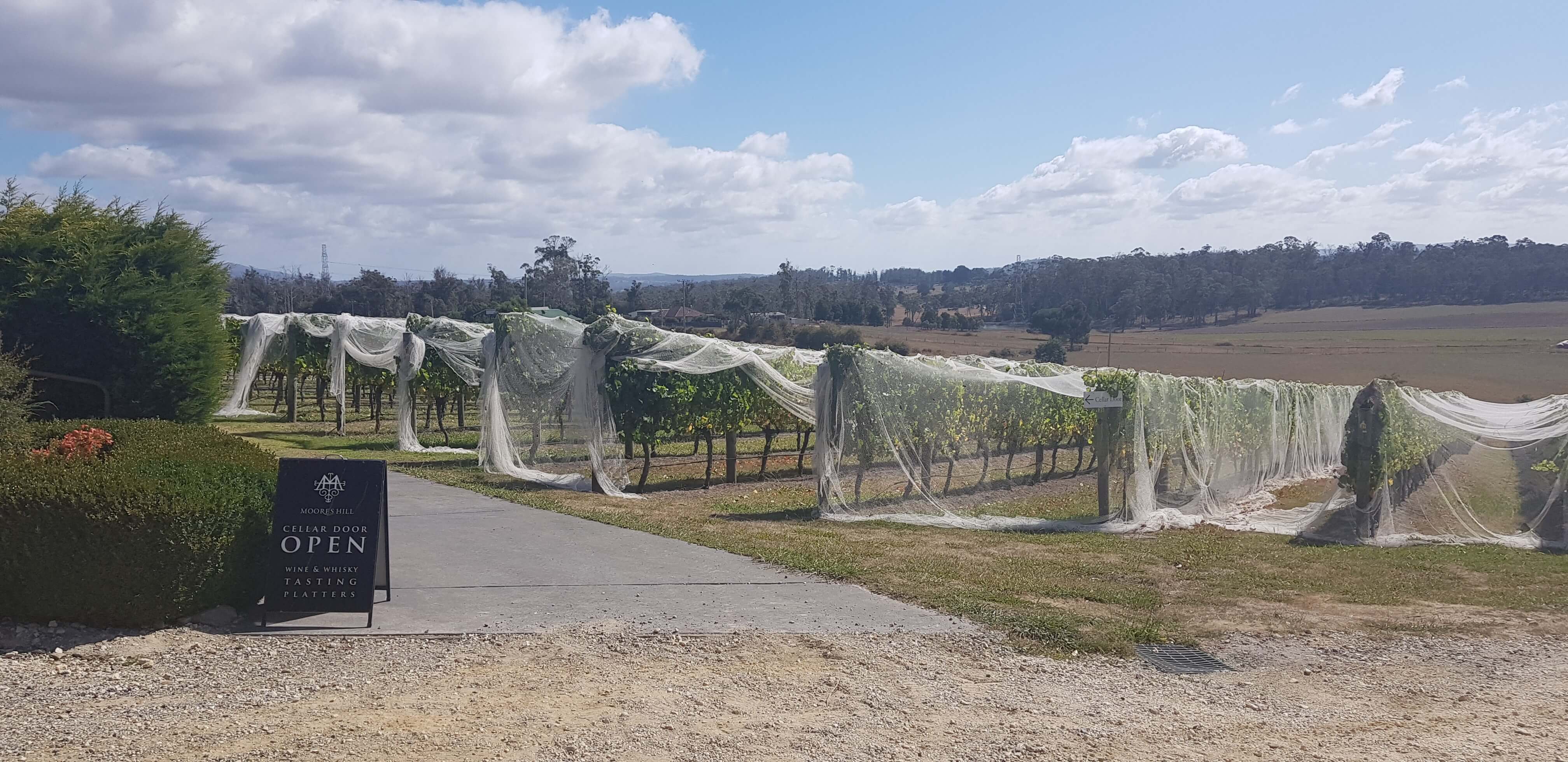 Moore's Hill Estate - Tamar Valley Tasmania