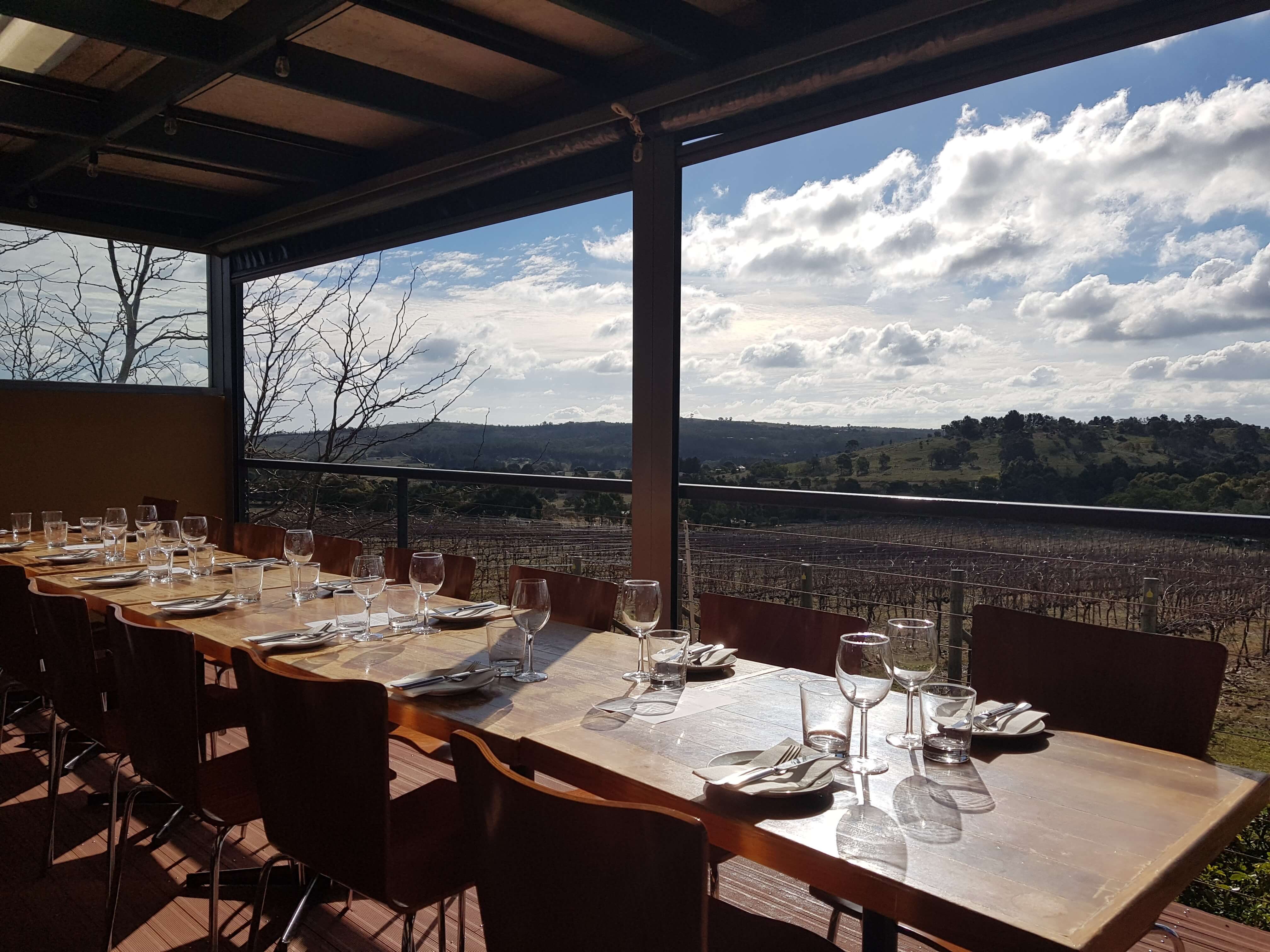 What are Cool Climate Wines?